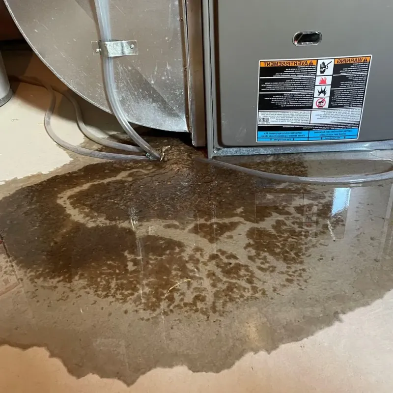 Pipe Burst and Leak Restoration in Deuel County, SD
