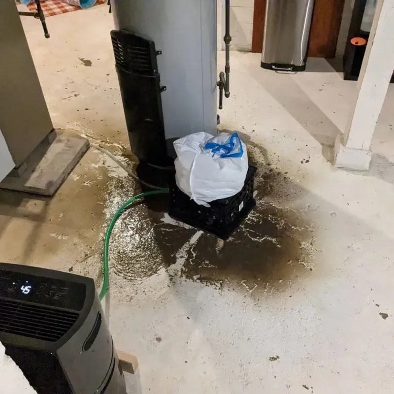 Sewage Backup Cleanup Service in Deuel County, SD
